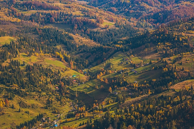 paesaggio naturale della foresta autunnale e delle montagne