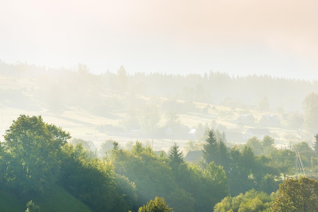 Paesaggio naturale di verdi colline