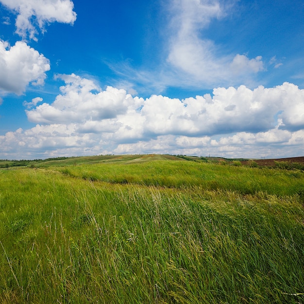 Paesaggio naturale estivo