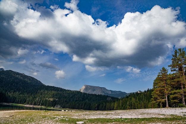 Paesaggio naturale. Lago di montagna, Montenegro, Parco nazionale del Durmitor