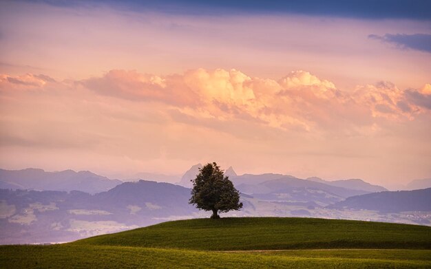 paesaggio naturale