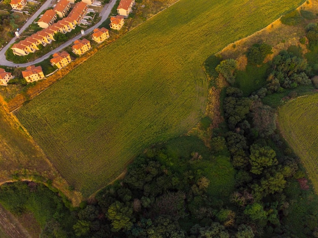 Paesaggio naturale