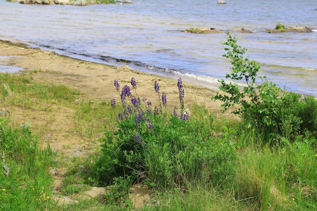 Paesaggio naturale