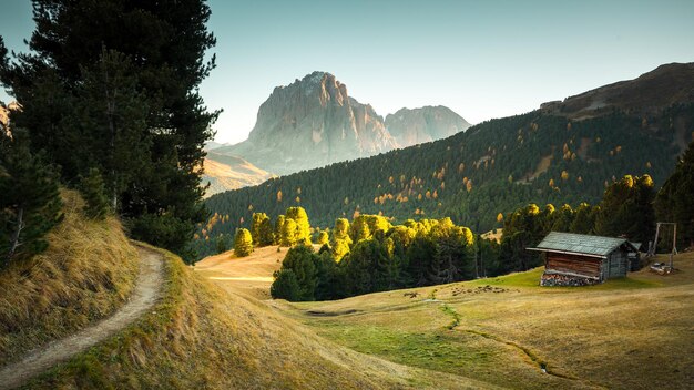 paesaggio naturale