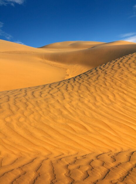 Paesaggio nel deserto