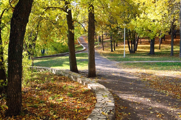 Paesaggio nel parco aurumn