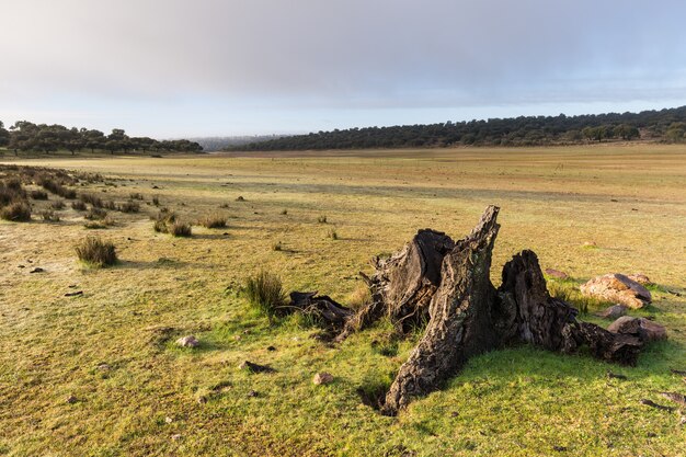 Paesaggio nel Parco Naturale di Cornalvo. Extremadura. Spagna.