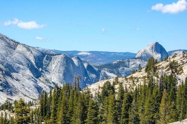 Paesaggio nel Parco Nazionale di Yosemite