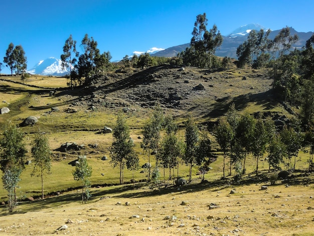 Paesaggio nell'altiplano delle Ande peruviane