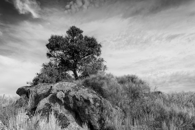 Paesaggio nell'area naturale di Barruecos. Extremadura. Spagna.