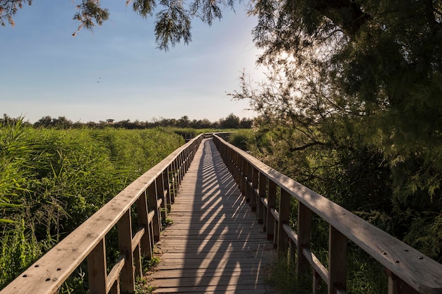 Paesaggio nelle tabelle Daimiel Ciudad Real Spagna