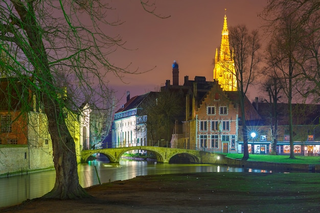 Paesaggio notturno al lago Minnewater a Bruges, Belgio