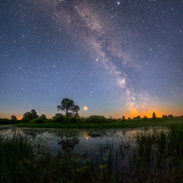 Paesaggio notturno con un sacco di stelle