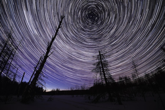 Paesaggio notturno stellato invernale con tracce di stelle circolari