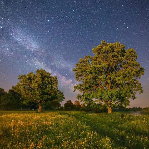 Paesaggio notturno stellato