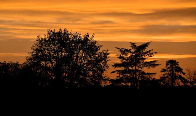 paesaggio notturno