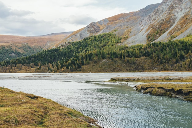 Paesaggio panoramico con torrente di montagna e montagne eterogenee in colori autunnali