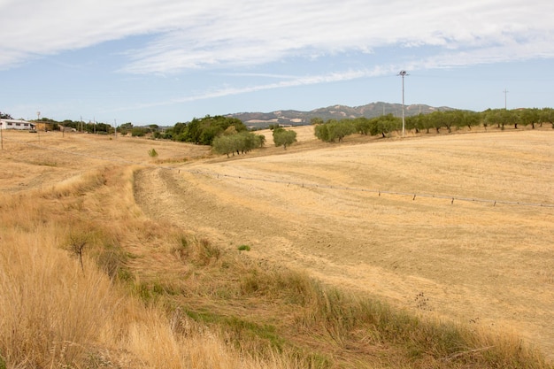 Paesaggio panoramico d'Italia