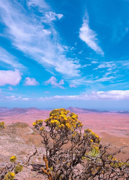 Paesaggio panoramico del cielo blu vulcanico e desertico