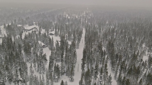 Paesaggio panoramico del sentiero invernale con forti nevicate sul sentiero nel bosco innevato