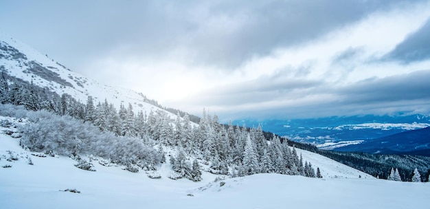 Paesaggio panoramico della catena montuosa invernale sotto il cielo nuvoloso