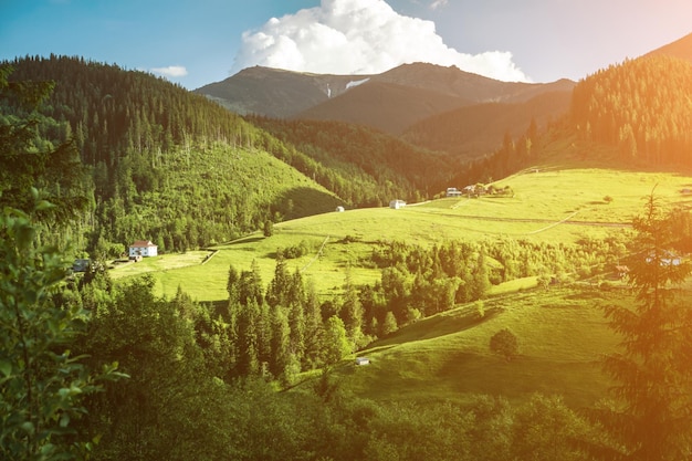 Paesaggio panoramico di montagna prato verde estivo