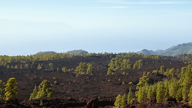 Paesaggio panoramico di Volcano Teide National Park, isola di Tenerife.