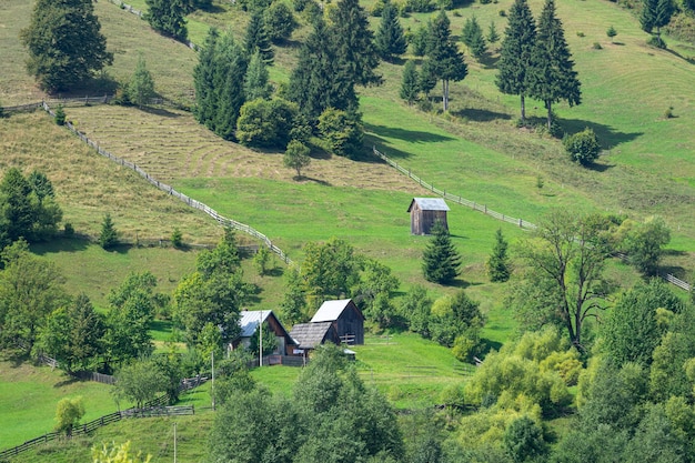 Paesaggio panoramico in natura, foresta e collina.