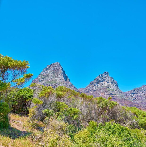 Paesaggio panoramico vista sulle montagne dei Dodici Apostoli a Città del Capo in Sud Africa con cielo blu e spazio per la copia Famoso terreno escursionistico con alberi in crescita, arbusti, cespugli Viaggi e turismo