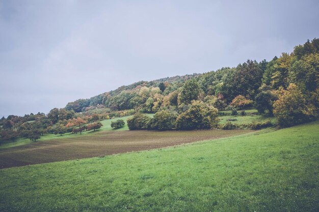 paesaggio panoramico