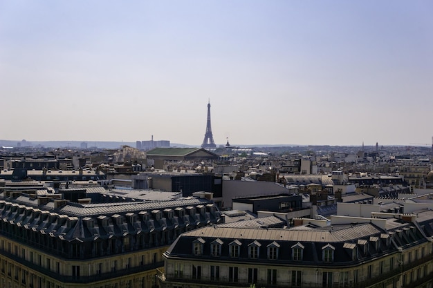 Paesaggio parigino da un tetto con la torre eiffel al centro dell'attenzione