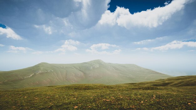 Paesaggio per illustrare gli obiettivi di sviluppo sostenibile e la protezione dell'ecosistema Ambiente naturale di un'isola verde senza alberi rendering 3D