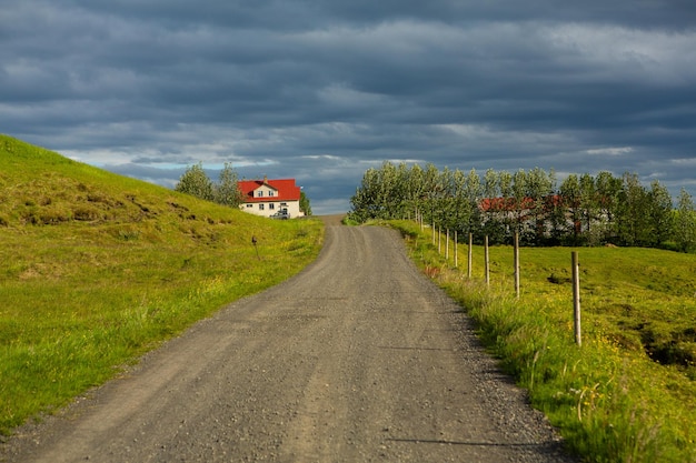 Paesaggio pittoresco con natura verde in Islanda durante l'estate.