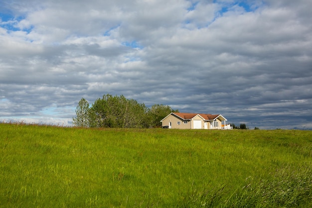 Paesaggio pittoresco con natura verde in Islanda durante l'estate.