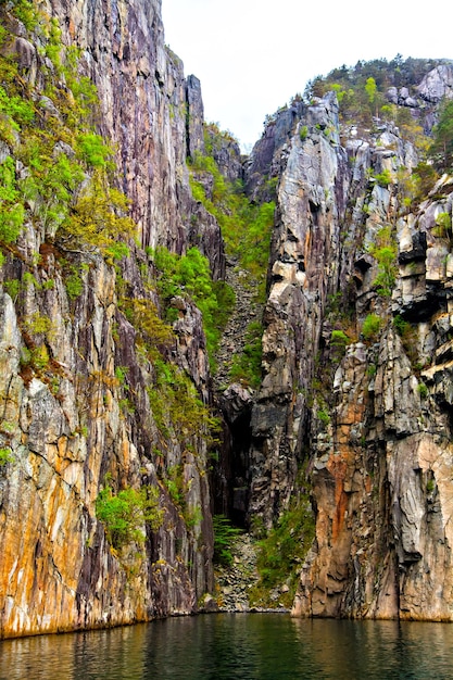 Paesaggio pittoresco con rocce e alberi