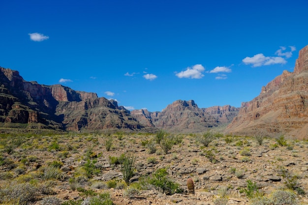 Paesaggio pittoresco del Parco Nazionale del Grand Canyon durante la giornata di sole Arizona USA