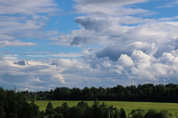 Paesaggio prato cielo nuvola