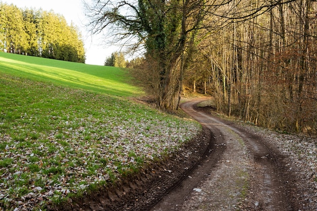 Paesaggio Primavera natura villaggio e campi strada sterrata nella foresta