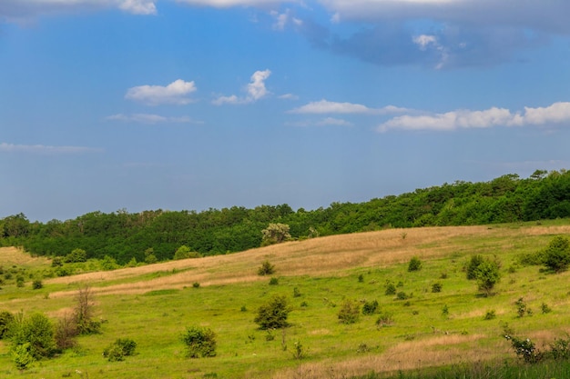 Paesaggio primaverile con alberi verdi prati campi e cielo blu