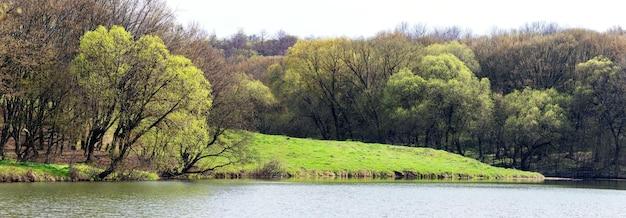 Paesaggio primaverile con foresta vicino al fiume, la prima vegetazione primaverile sugli alberi