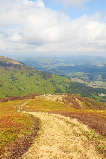 Paesaggio primaverile con la strada di montagna nei Carpazi