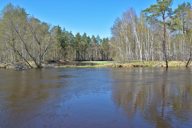 Paesaggio primaverile del fiume