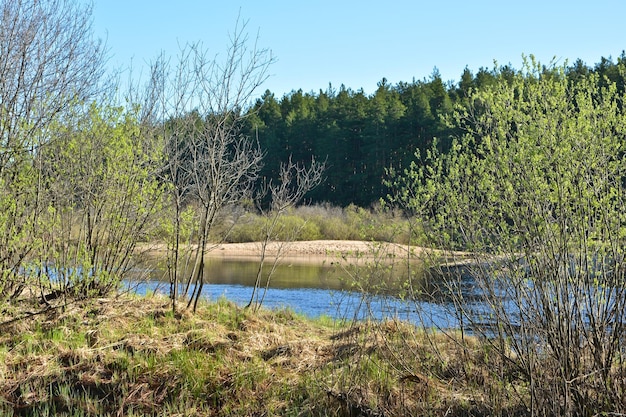 Paesaggio primaverile del fiume