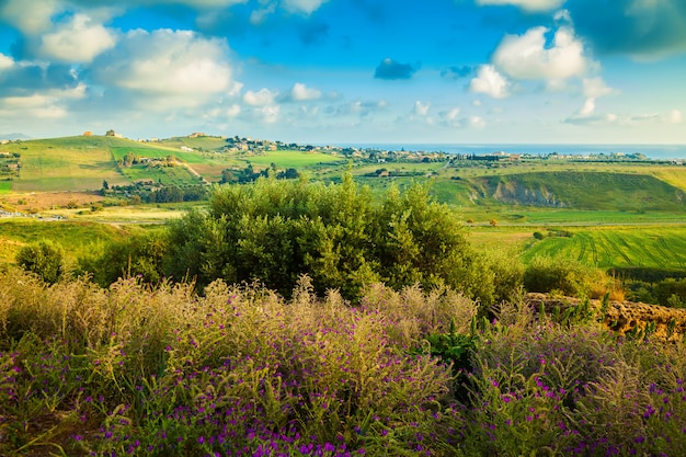 Paesaggio primaverile della Sicilia