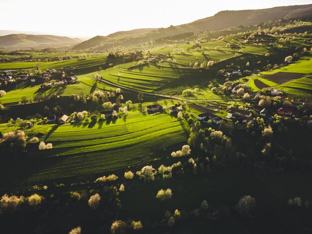 Paesaggio primaverile in Slovacchia Polana regione Hrinova Primavera verde paesaggio collinare campi alberi in fiore agricoltura biologica