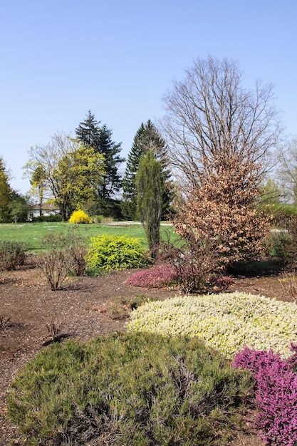 Paesaggio primaverile nel giardino botanico all'inizio di maggio