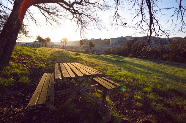 Paesaggio primaverile - posto per riposare nel parco una panchina e un tavolo