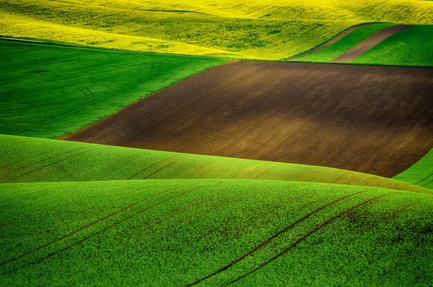 Paesaggio primaverile rurale