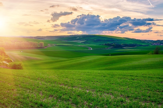 Paesaggio primaverile rurale