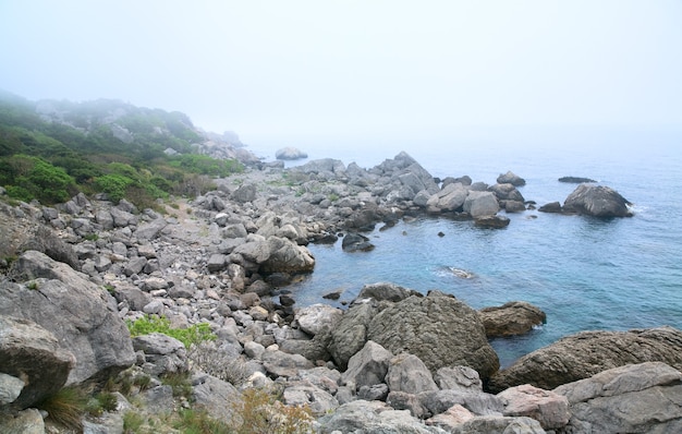 Paesaggio roccioso della costa di estate nebbiosa (Crimea, Ucraina)